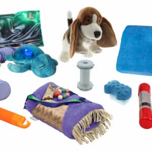 Sensory Kit