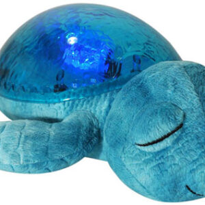 Tranquil Turtle 4083.2026