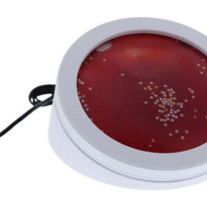 Light-Up Gel Switch 7452.3D.2025