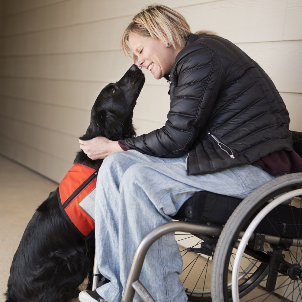 a woman in a wheelchair petting a black service dog.