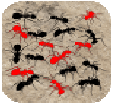 sights and sounds ants app