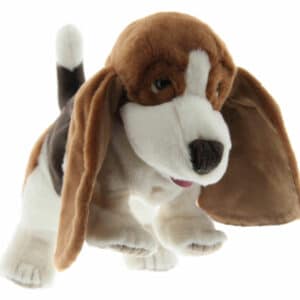 Basset Hound