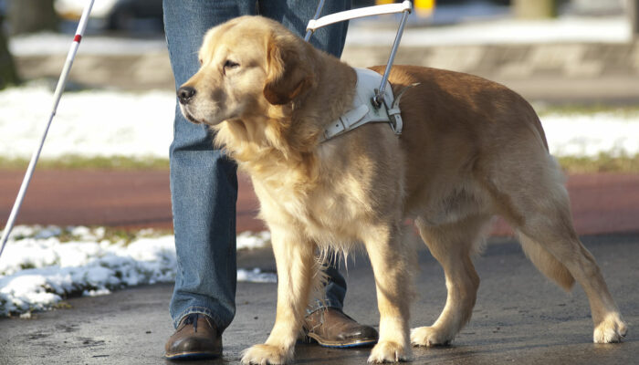 Blog: Myths About Blindness Are Widespread